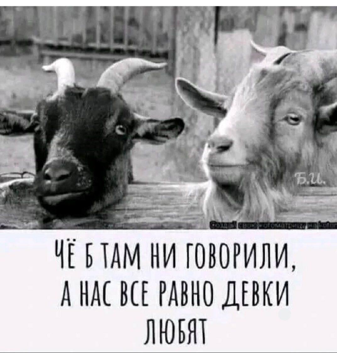 Чё б там ни говорили, а нас все равно девки любят