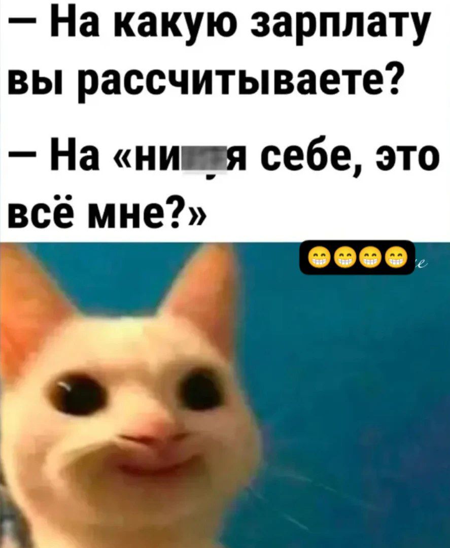 — На какую зарплату вы рассчитываете? 
— На «нифига себе, это всё мне?»