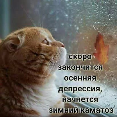 скоро закончится осенняя депрессия, начнется зимний каматоз
