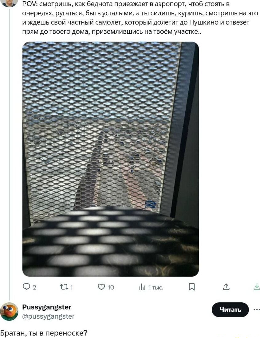 POV: смотришь, как беднота приезжает в аэропорт, чтоб стоять в очередях, ругаться, быть усталыми, а ты сидишь, куришь, смотришь на это и ждёшь свой частный самолёт, который долетит до Пушкино и отвезёт прям до твоего дома, приземлившись на твоём участке..