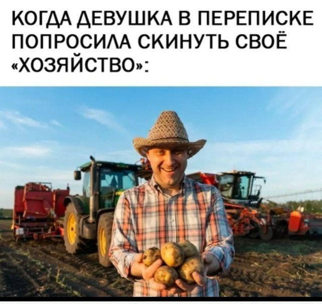 КОГДА ДЕВУШКА В ПЕРЕПИСКЕ ПОПРОСИЛА СКИНУТЬ СВОЁ «ХОЗЯЙСТВО»: