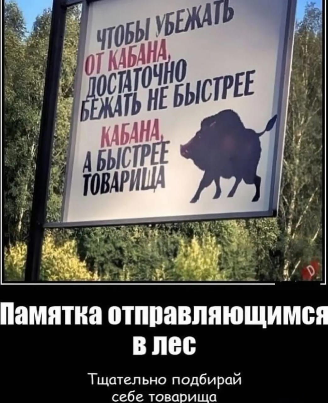 Чтобы избежать от кабана достаточно бежать не быстрее кабана, а быстрее товарища. Памятка отправляющимся в лес. Тщательно подбирай себе товарища.
