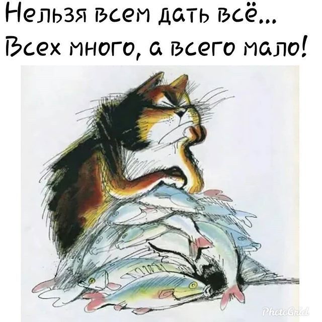 Нельзя всем дать всё... Всех много, а всего мало!