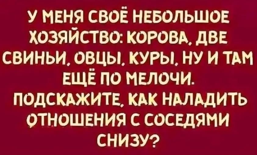 У меня своё небольшое хозяйство: корова, две свиньи, овцы, куры, ну и там ещё по мелочи. Подскажите, как наладить отношения с соседями снизу?