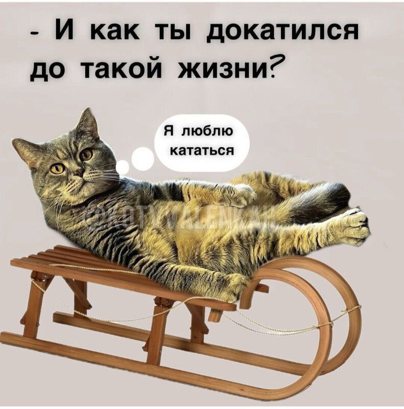 - И как ты докатился до такой жизни? Я люблю кататься