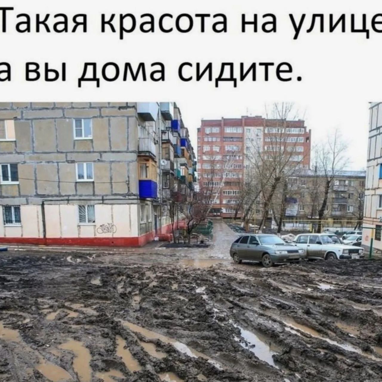 Такая красота на улице, а вы дома сидите.