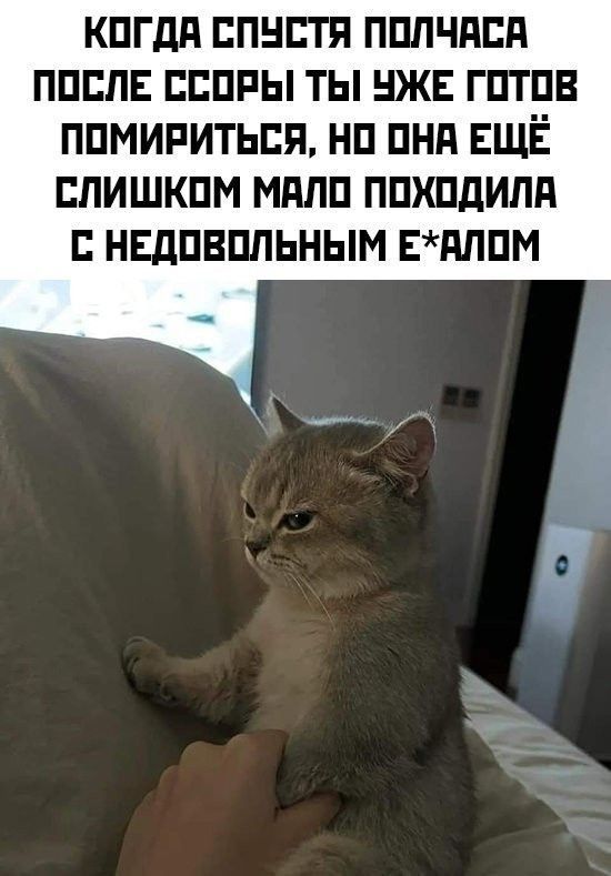 КОГДА СПУСТЯ ПОЛЧАСА ПОСЛЕ ССОРЫ ТЫ УЖЕ ГОТОВ ПОМИРИТЬСЯ, НО ОНА ЕЩЕ СЛИШком МАЛО ПОХОДИЛА С НЕДОВОЛЬНЫМ E*АЛОМ