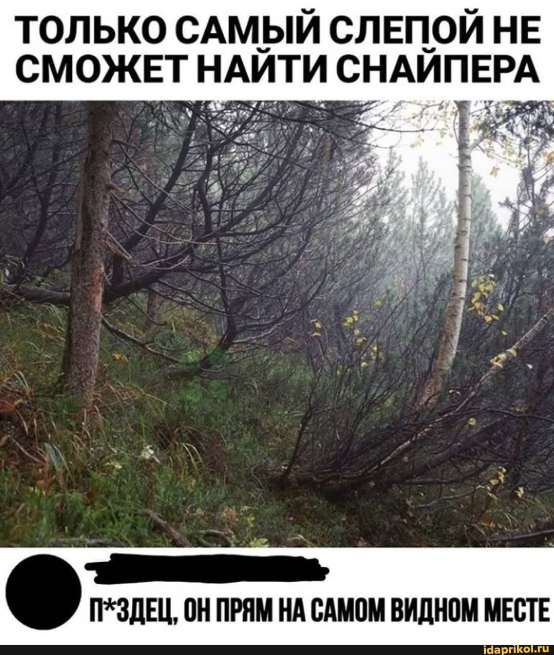 ТОЛЬКО САМЫЙ СЛЕПОЙ НЕ СМОЖЕТ НАЙТИ СНАЙПЕРА
п*здец, он прям на самом видном месте