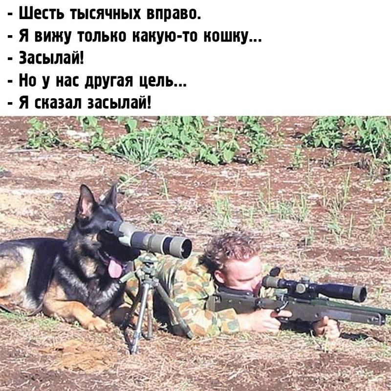 - Шесть тысячных вправо.
- Я вижу только какую-то кошку...
- Засылай!
- Но у нас другая цель...
- Я сказал засыпай!