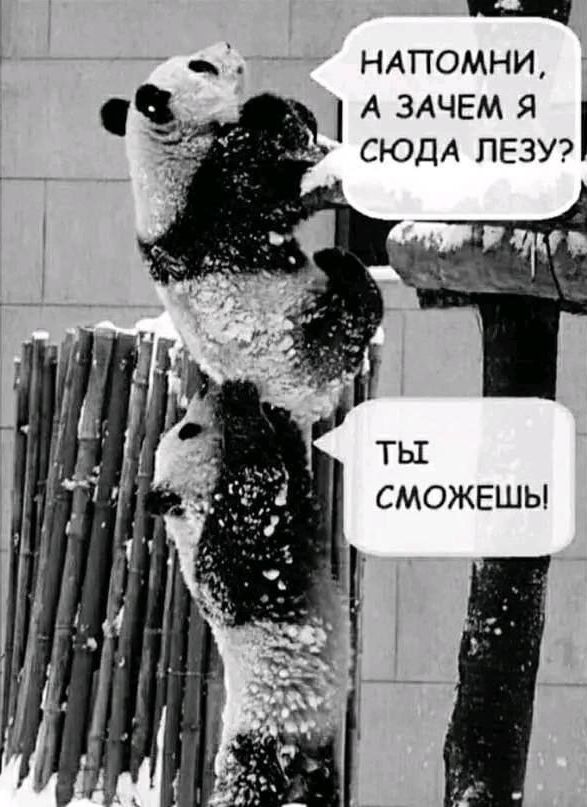 напомни, а зачем я сюда лезу?
ты сможешь!