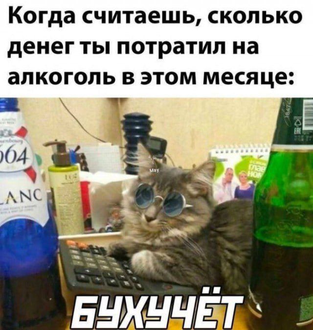 Когда считаешь, сколько денег ты потратил на алкоголь в этом месяце:
БУХУЧЁТ