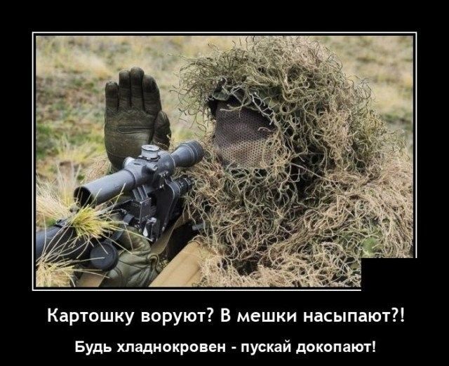 Картошку воруют? В мешки насыпают?! Будь хладнокровен - пускай докапают!