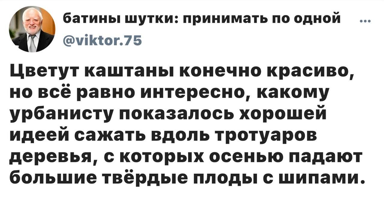 батины шутки: принимать по одной
@viktor.75
Цветут каштаны конечно красиво, но всё равно интересно, какому урбанисту показалось хорошей идеей сажать вдоль тротуаров деревья, с которых осенью падают большие твёрдые плоды с шипами.