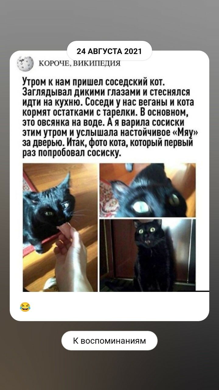 Утром к нам пришел соседский кот. Заглядывал дикими глазами и стеснялся идти на кухню. Соседи у нас веганы и кота кормят остатками с тарелки. В основном, это овсянка на воде. Я варила сосиски этим утром и услышала настойчивое «Мяу» за дверью. Итак, фото кота, который первый раз попробовал сосиску.