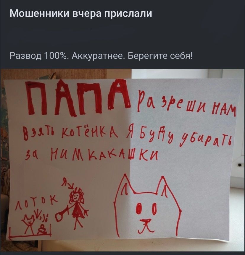 Мошенники вчера прислали Развод 100%. Аккуратнее. Берегите себя! ПАПА Разреши нам взять котёнка Я буду убирать за ним какашки Лоток