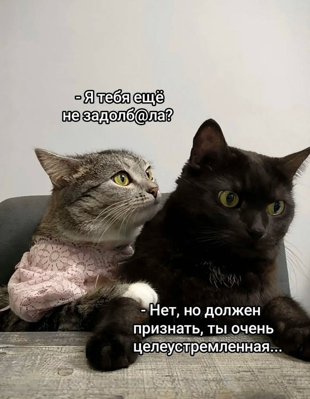 - Я тебя ещё не задолбал?
- Нет, но должен признать, ты очень целеустремленная...