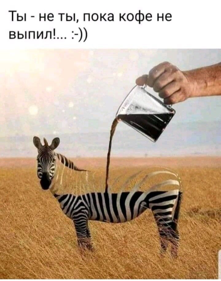 Ты - не ты, пока кофе не выпил!... :-))