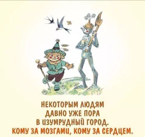 Некоторым людям давно уже пора в izумрудный город, кому за мозгами, кому за сердцем.