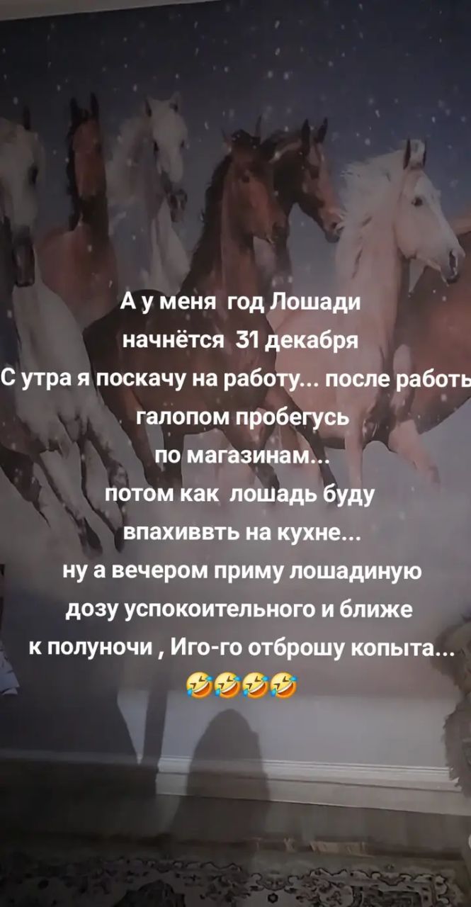 А у меня год Лошади начнётся 31 декабря
С утра я поскачу на работу... после работы галопом пробегусь по магазинам...
потом как лошадь буду впахивать на кухне...
ну а вечером приму лошадиную дозу успокоительного и ближе к полуночи, Иго-го отброжу копыта... 😂🤣😂