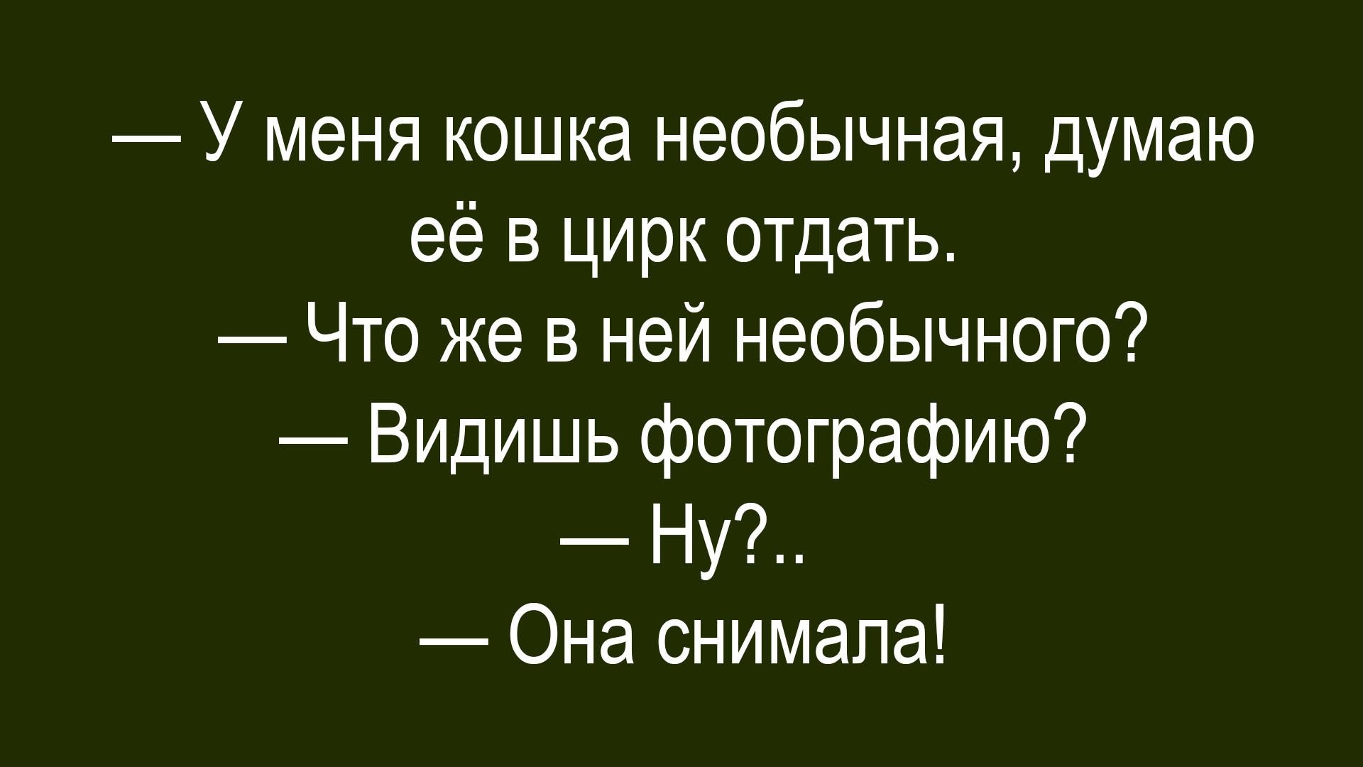 — У меня кошка необычная, думаю её в цирк отдать.
— Что же в ней необычного?
— Видишь фотографию?
— Ну?..
— Она снимала!