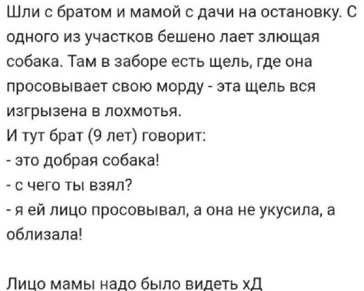 Шли с братом и мамой с дачи на остановку. С одного из участков бешено лает злющая собака. Там в заборе есть щель, где она просовывает свою морду - эта щель вся изгрызенная в лохмоть. И тут брат (9 лет) говорит: - это добрая собака! - с чего ты взял? - я ей лицо просовывал, а она не укуcила, а облизалa! Лицо мамы надо было видеть xD