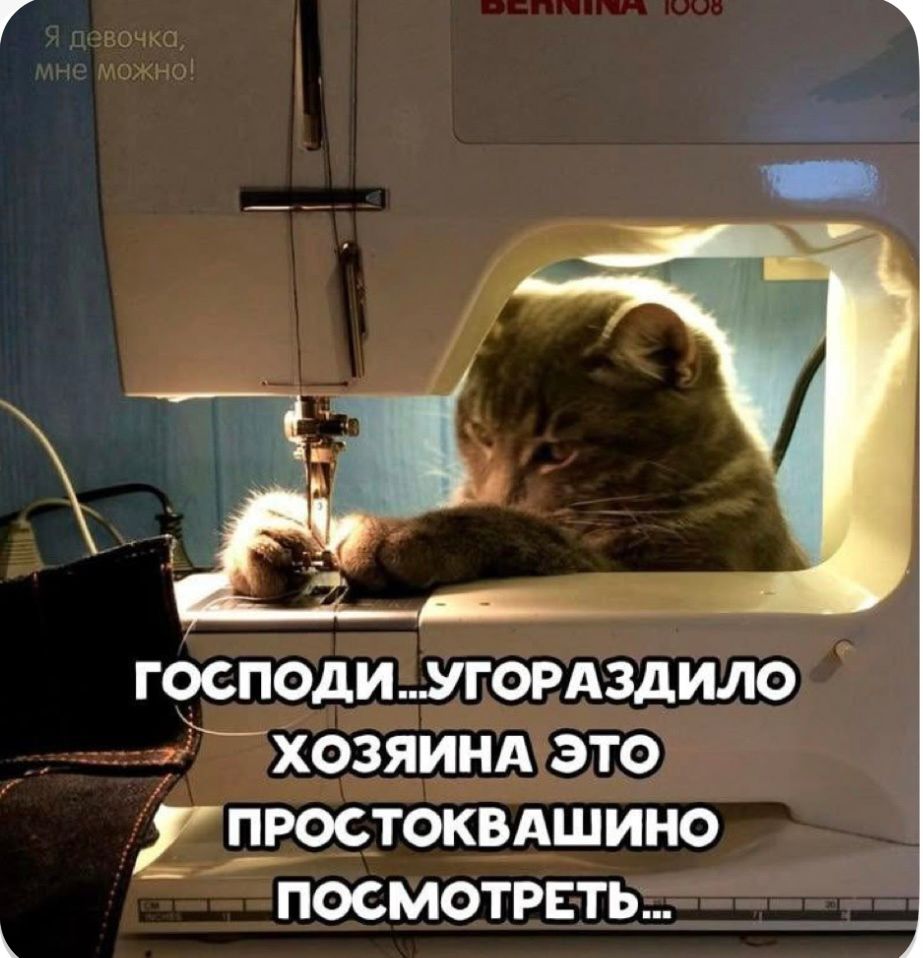 ГОСПОДИ...УГОРАЗДИЛО ХОЗЯИНА ЭТО ПРОСТОКВАШИНО ПОСМОТРЕТЬ...