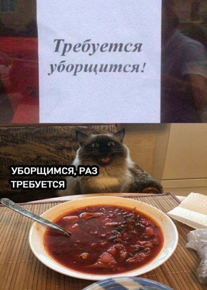 Требуется убираться! УБОРЩИМСЯ, РАЗ ТРЕБУЕТСЯ