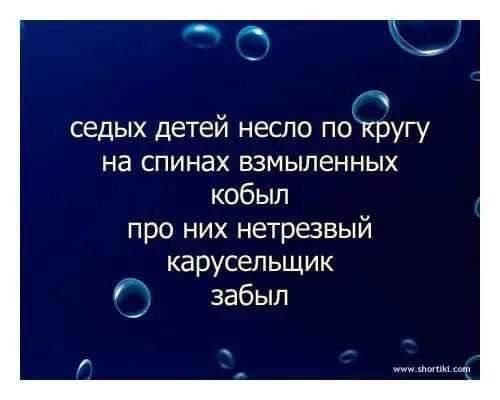 седых детей несло по кругу на спинах взмыленных кобыл про них нетрезвый карусельщик забыл