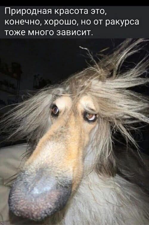 Природная красота это, конечно, хорошо, но от ракуса тоже много зависит.