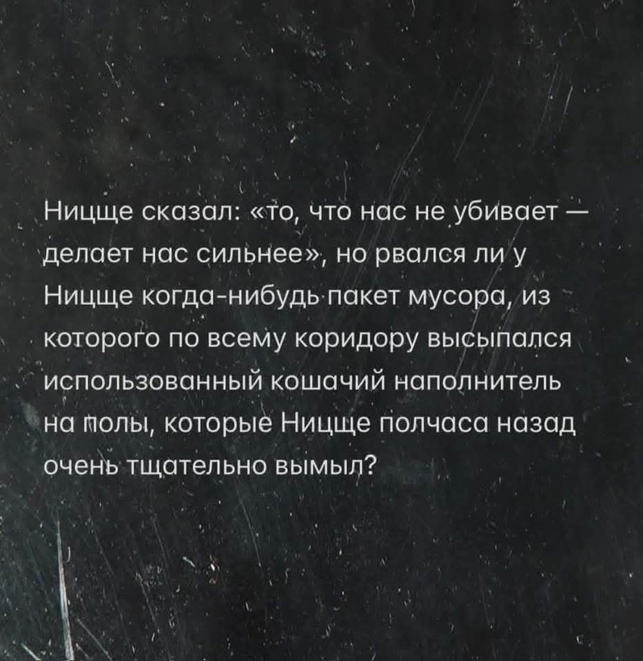 Ницше сказал: «то, что нас не убивает — делает нас сильнее», но рвался ли у Ницше когда-нибудь пакет мусора, из которого по всему коридору высыпался использованный кошачий наполнитель на полы, которые Ницше полчаса назад очень тщательно вымыл?