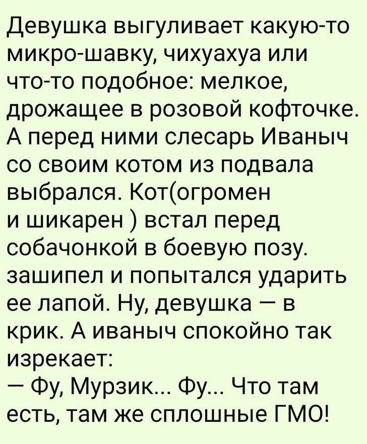 Девушка выгуливает какую-то микро-шавку, чихуахуа или что-то подобное: мелкое, дрожащее в розовой кофточке. А перед ними слесарь Иваныч со своим котом из подвала выбрался. Кот (огромен и шикарен) встал перед собачонкой в боевую позу. зашипел и попытался ударить ее лапой. Ну, девушка — в крик. А Иваныч спокойно так изрекает: — Фу, Мурзик... Фу... Чт