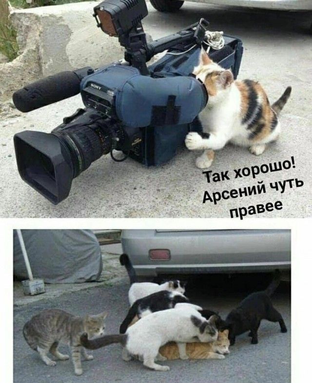 Так хорошо! Арсений чуть правее