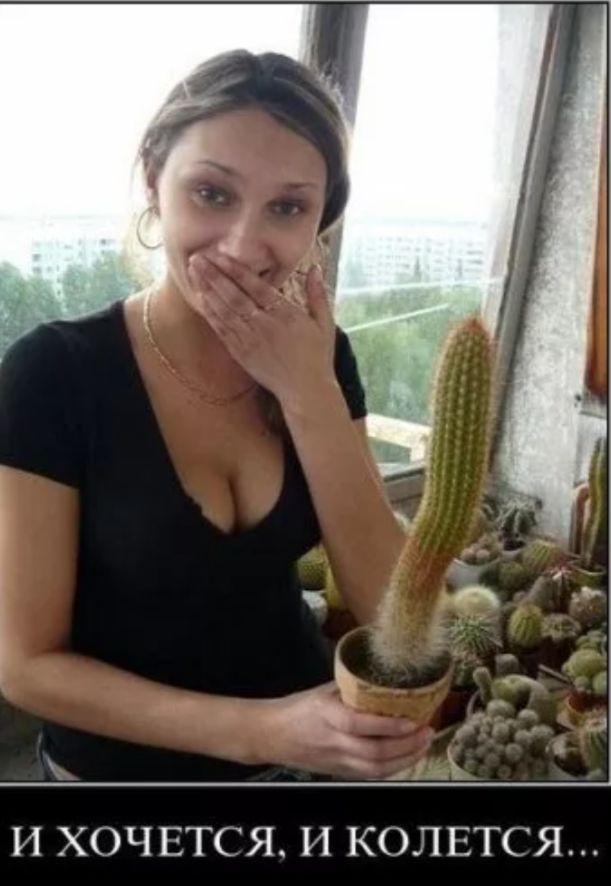 И ХОЧЕТСЯ, И КОЛЕТСЯ...