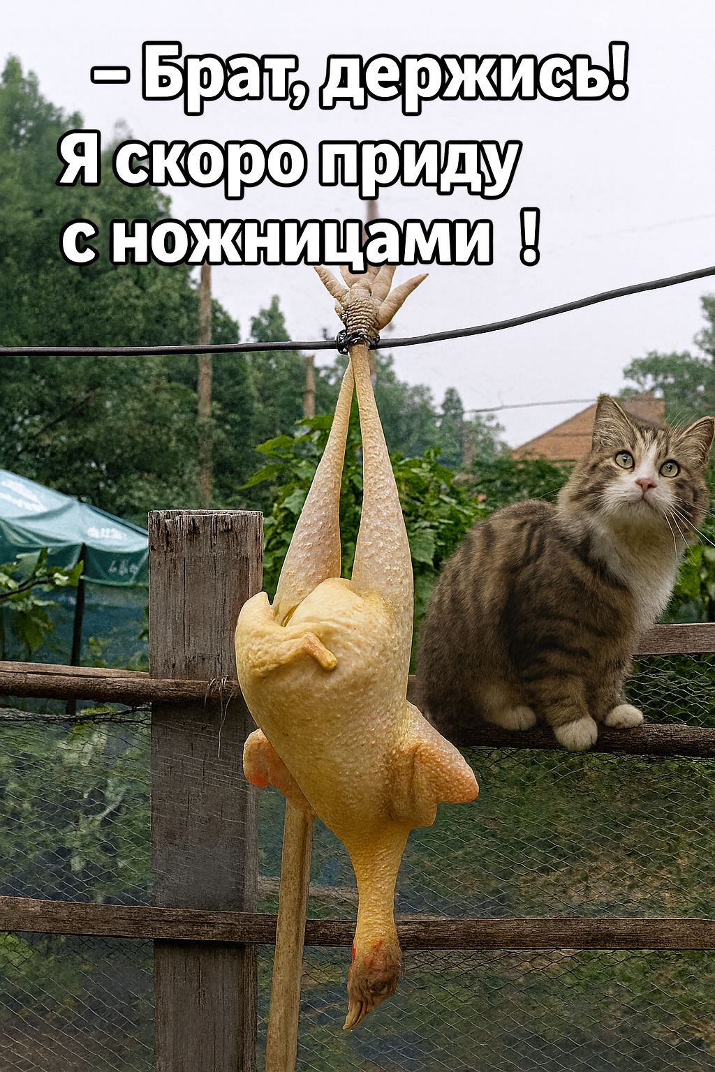 - Брат, держись! Я скоро приду с ножницами!