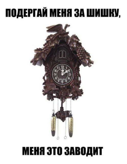 ПОДЕРГАЙ МЕНЯ ЗА ШИШКУ, МЕНЯ ЭТО ЗАВОДИТ