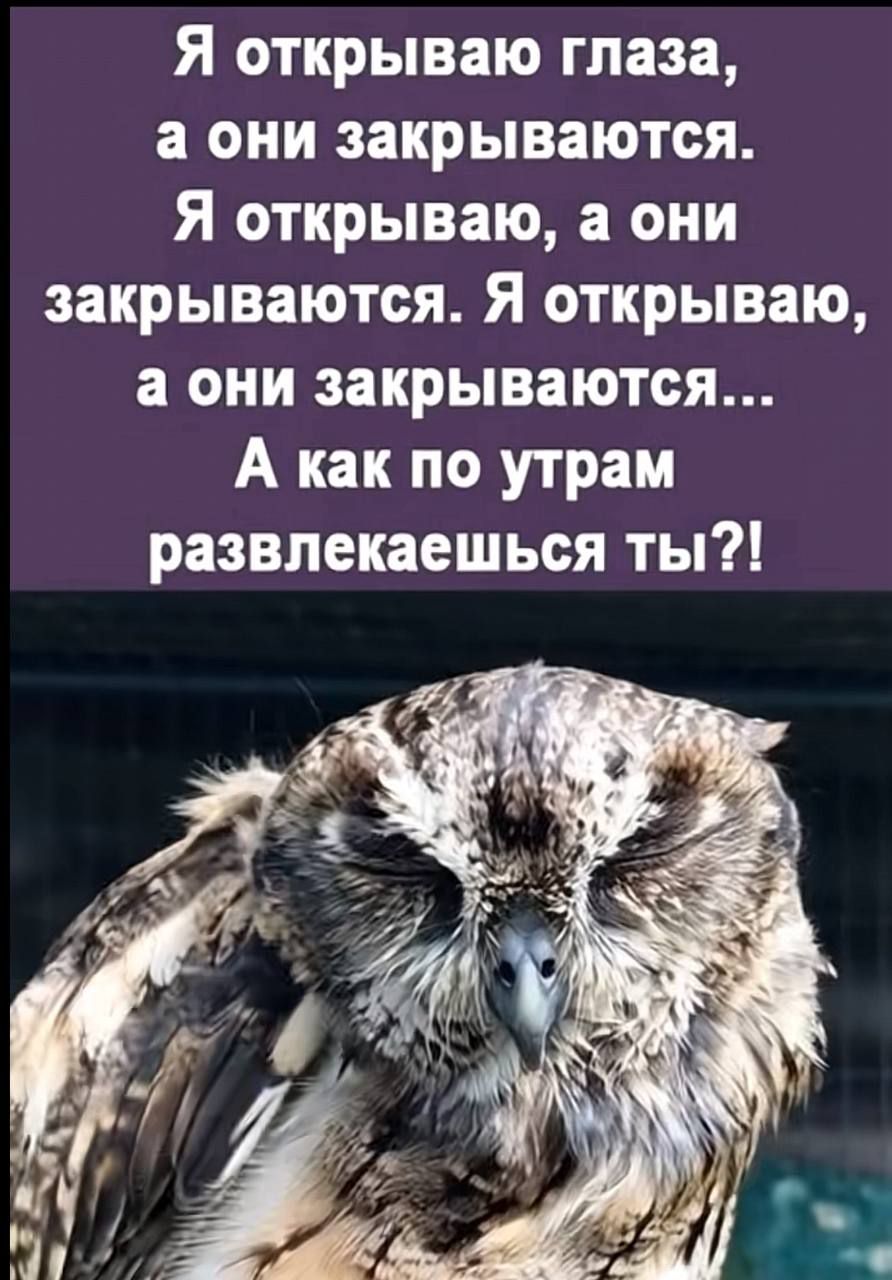 Я открываю глаза, а они закрываются. Я открываю, а они закрываются. Я открываю, а они закрываются... А как по утрам развлечешься ты?!