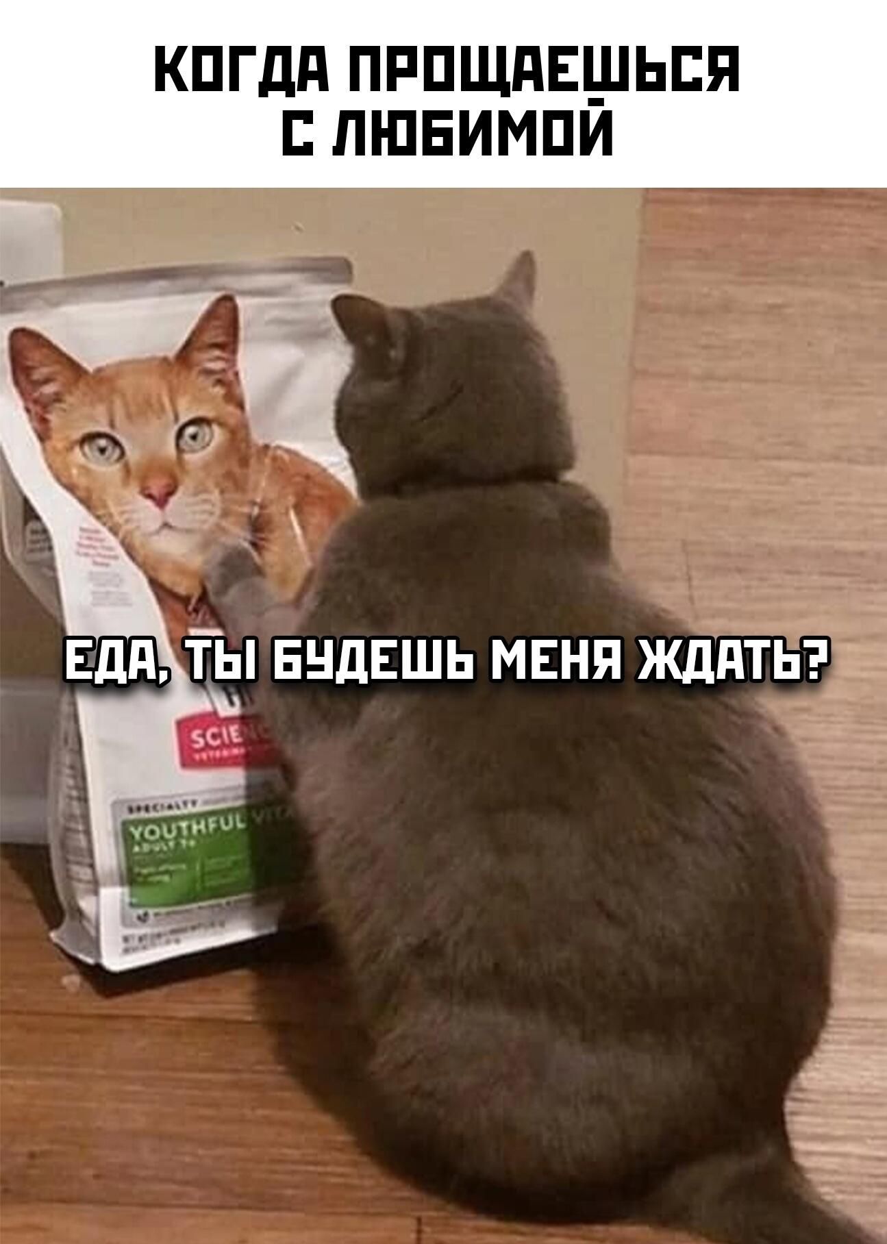 КОГДА ПРОЩАЕШЬСЯ С ЛЮБИМОЙ
ЕДА, ТЫ БУДЕШЬ МЕНЯ ЖДАТЬ?