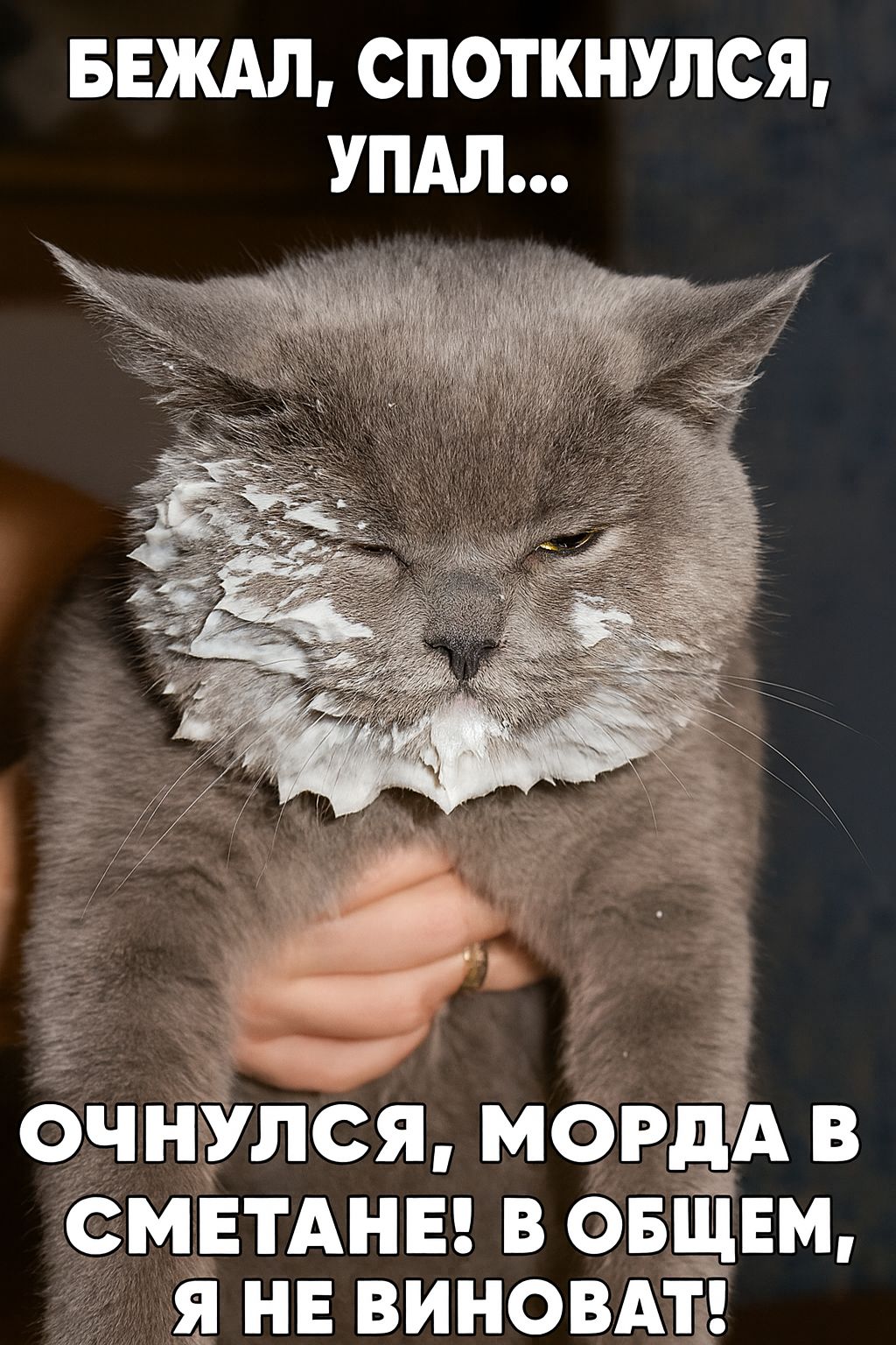 Бежал, споткнулся, упал... Очнулся, морда в сметане! В общем, я не виноват!