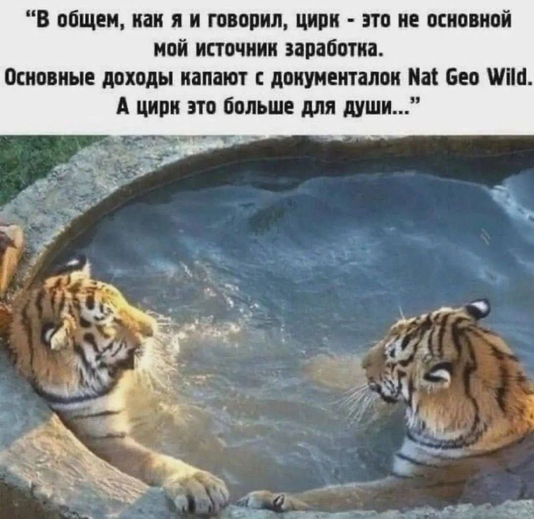 В общем, как я и говорил, цирк - это не основной мой источник заработка.\nОсновные доходы капают с документалок Nat Geo Wild.\nА цирк это больше для души…