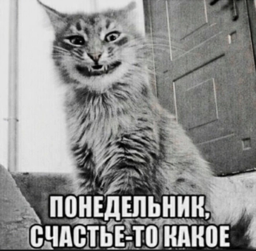 ПОНЕДЕЛЬНИК, СЧАСТЬЕ-ТО КАКОЕ