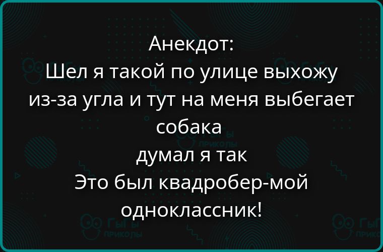 Анекдот: Шел я такой по улице выхожу из-за угла и тут на меня выбегает собака думал я так Это был квадратобер-мой одноклассник!