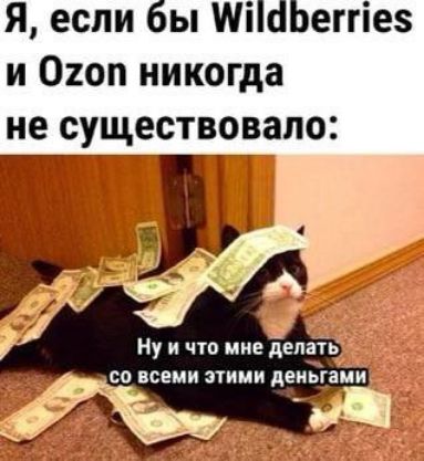 Я, если бы Wildberries и Ozon никогда не существовало:\nНу и что мне делать со всеми этими деньгами