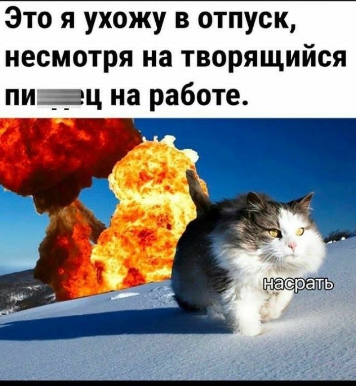 Это я ухожу в отпуск, несмотря на творяшийся пи...ц на работе. насрать
