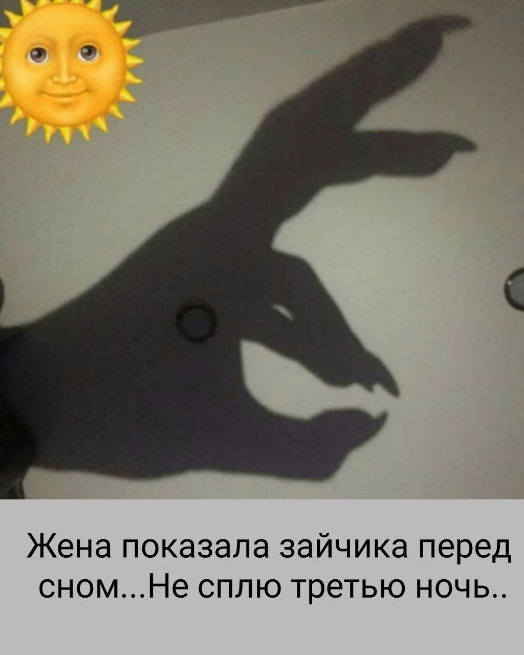 Жена показала зайчика перед сном...Не сплю третью ночь..