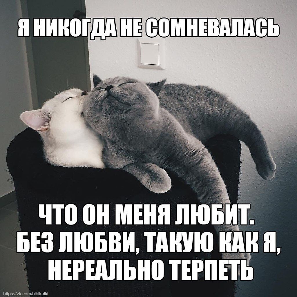 Я НИКОГДА НЕ СОМНЕВАЛАСЬ ЧТО ОН МЕНЯ ЛЮБИТ. БЕЗ ЛЮБВИ, ТАКУЮ КАК Я, НЕРЕАЛЬНО ТЕРПЕТЬ