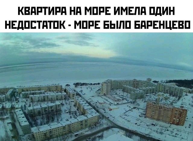 Квартира на море имела один недостаток - море было Баренцево