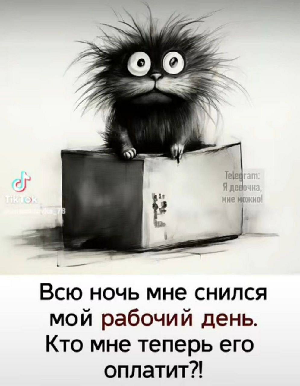 Всю ночь мне снился мой рабочий день. Кто мне теперь его оплатит?!