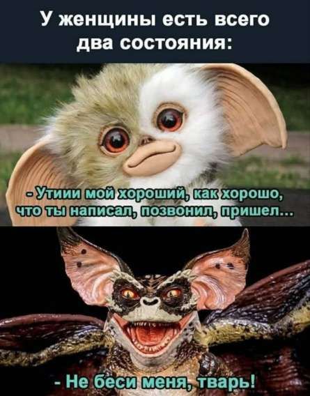 У женщины есть всего два состояния:
- Утиши мой хороший, как хорошо, что ты написал, позвонил, пришел...
- Не беси меня, тварь!