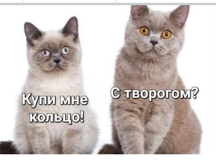 Купи мне кольцо! С творогом?