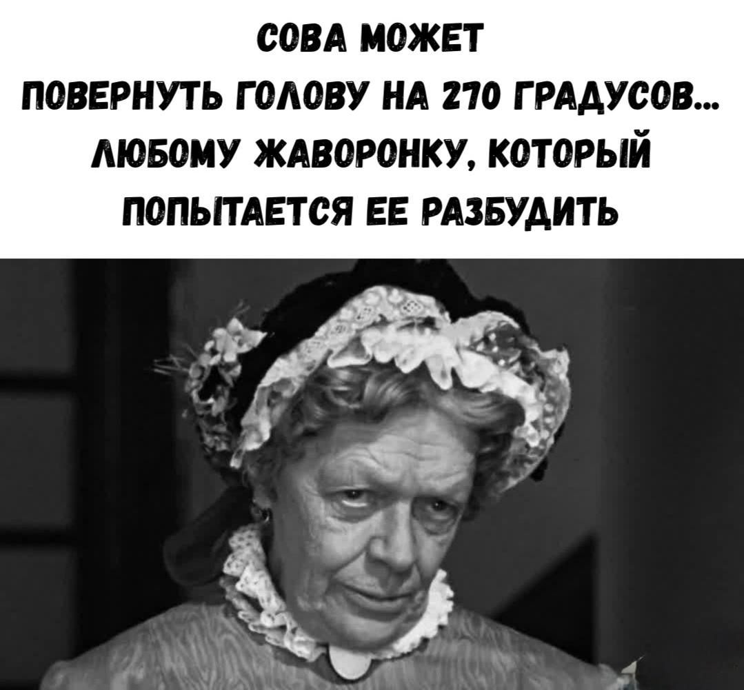 СОВА МОЖЕТ ПОВЕРНУТЬ ГОЛОВУ НА 270 ГРАДУСОВ... ЛЮБОМУ ЖАВОРОНКУ, КОТОРЫЙ ПОПЫТАЕТСЯ ЕЕ РАЗБУДИТЬ